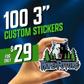 100 3" Custom Vinyl Stickers