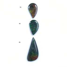 AMMOLITE Gemstone Cabochon : Natural Fossilized Shell Bi-Color Ammolite Uneven Shape Cabochon 23*14mm -  36*16mm 1pc