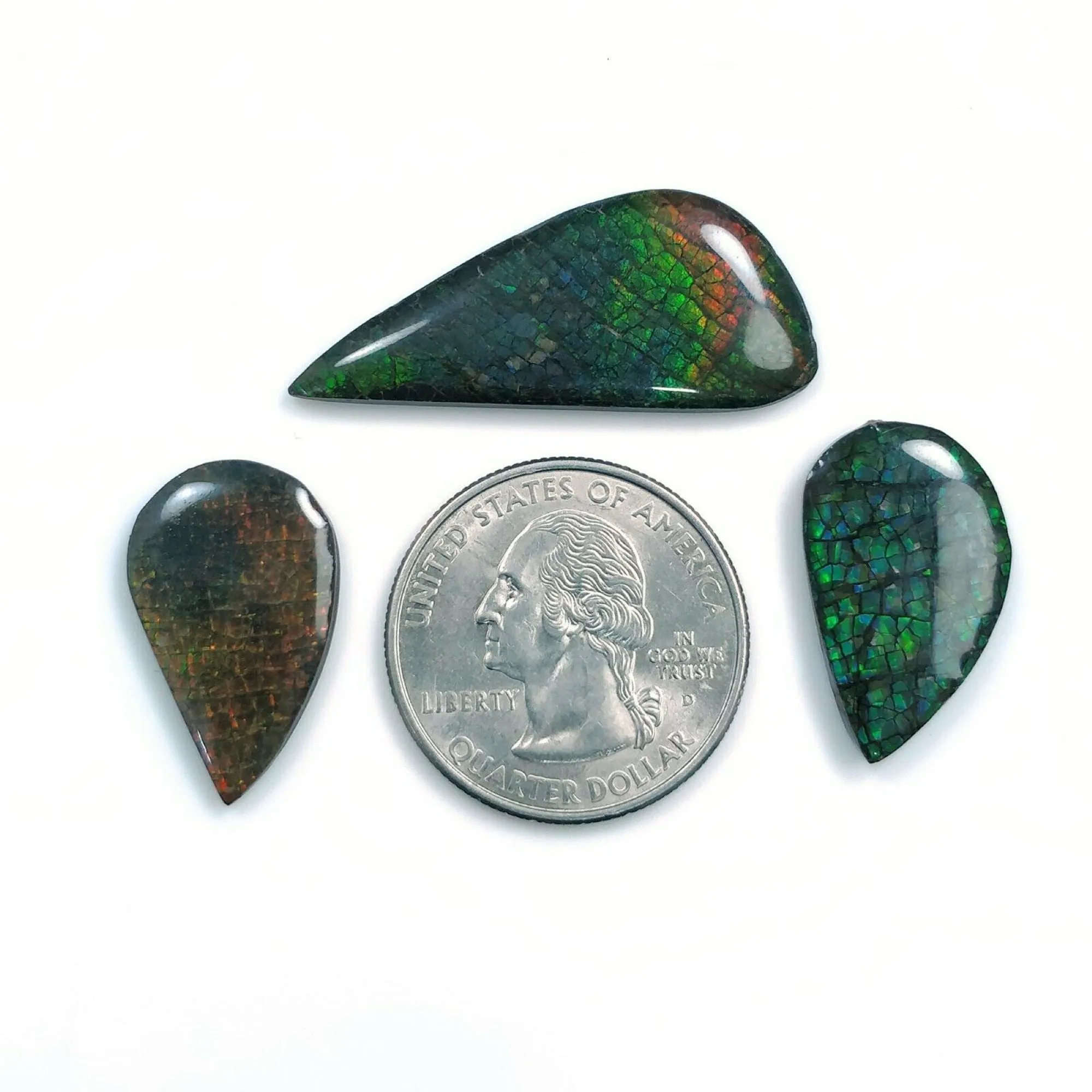 AMMOLITE Gemstone Cabochon : Natural Fossilized Shell Bi-Color Ammolite Uneven Shape Cabochon 23*14mm -  36*16mm 1pc