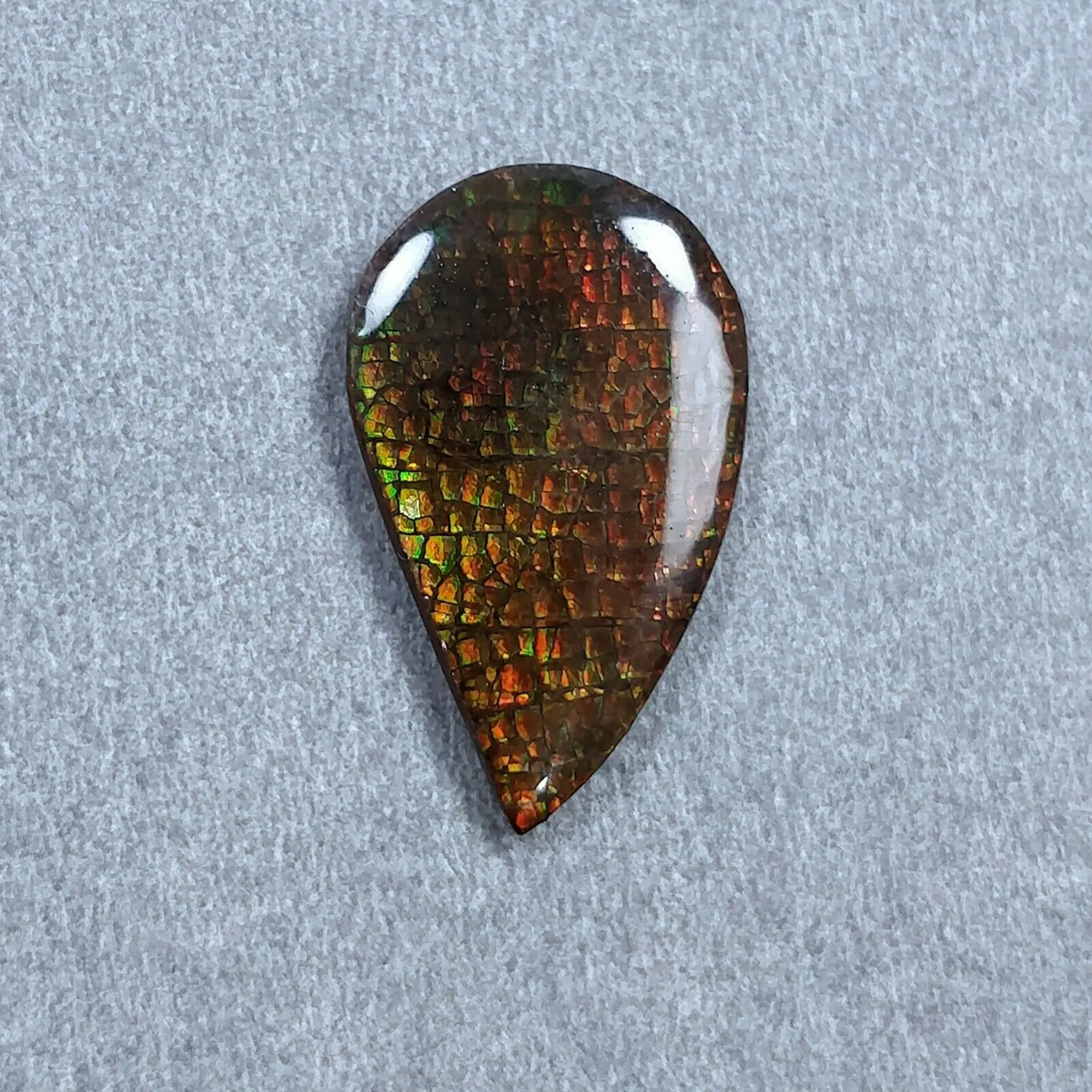 AMMOLITE Gemstone Cabochon : Natural Fossilized Shell Bi-Color Ammolite Uneven Shape Cabochon 23*14mm -  36*16mm 1pc