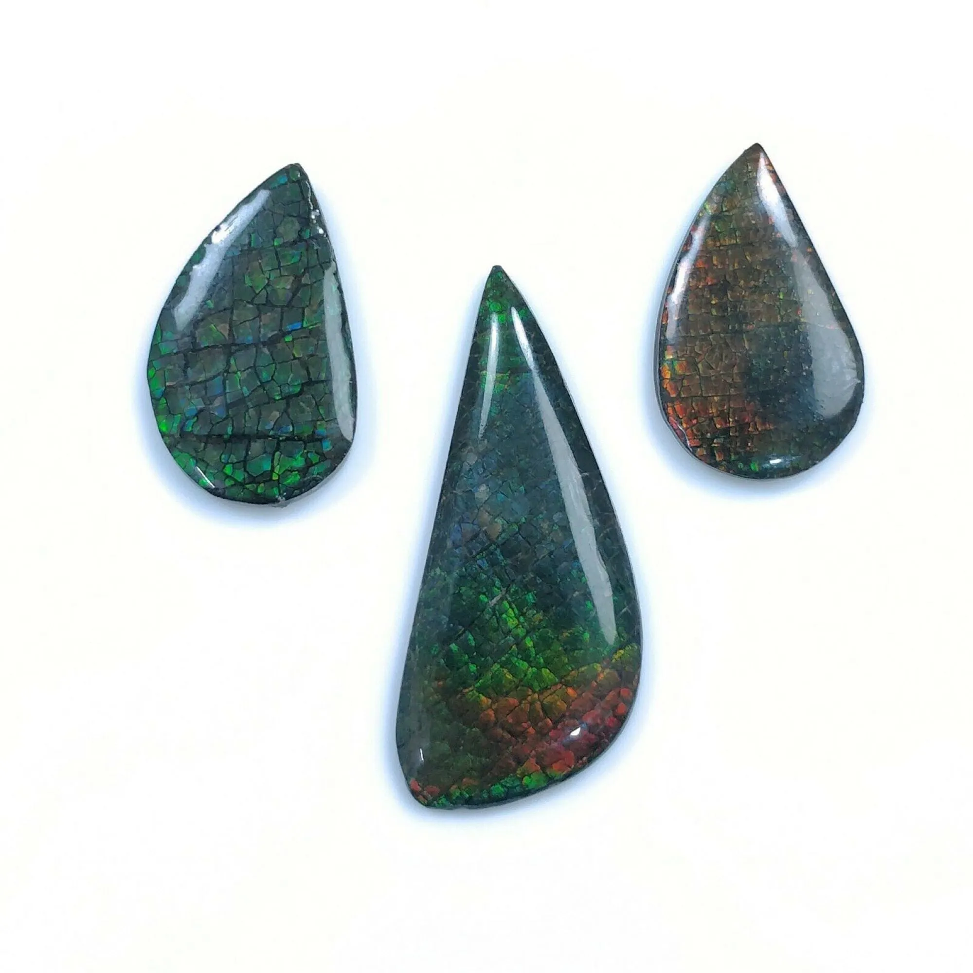 AMMOLITE Gemstone Cabochon : Natural Fossilized Shell Bi-Color Ammolite Uneven Shape Cabochon 23*14mm -  36*16mm 1pc