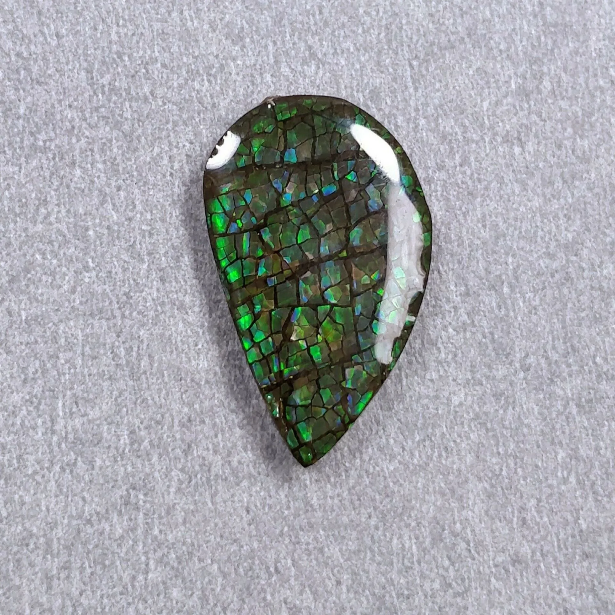 AMMOLITE Gemstone Cabochon : Natural Fossilized Shell Bi-Color Ammolite Uneven Shape Cabochon 23*14mm -  36*16mm 1pc