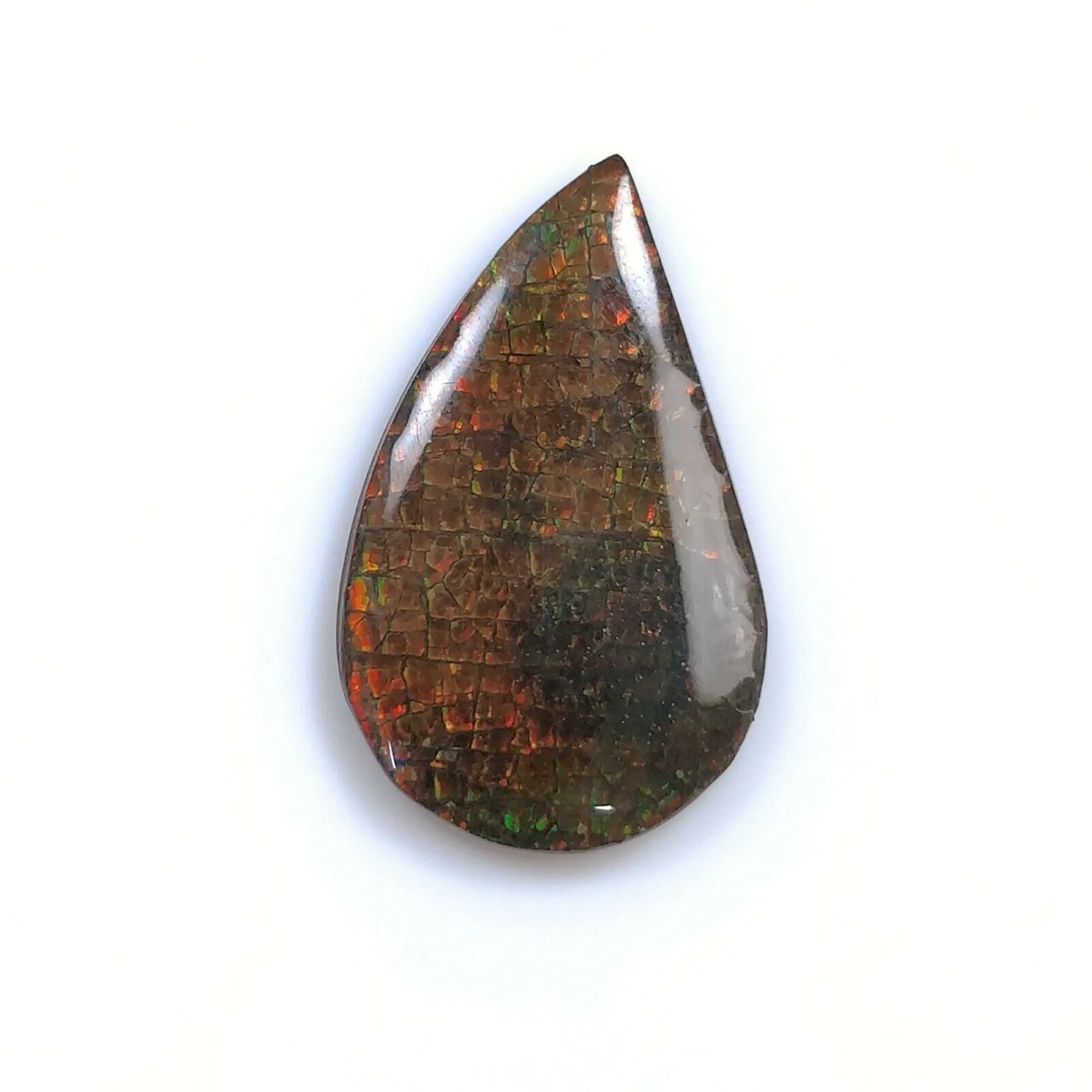 AMMOLITE Gemstone Cabochon : Natural Fossilized Shell Bi-Color Ammolite Uneven Shape Cabochon 23*14mm -  36*16mm 1pc