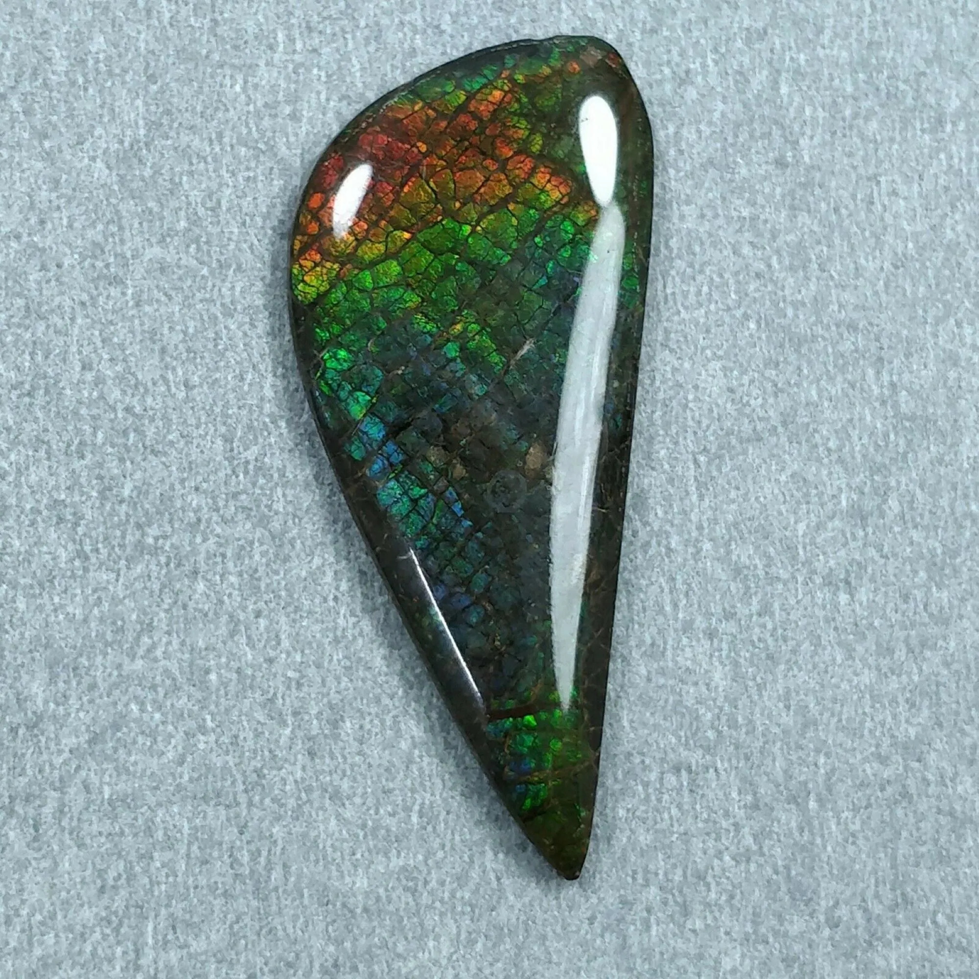 AMMOLITE Gemstone Cabochon : Natural Fossilized Shell Bi-Color Ammolite Uneven Shape Cabochon 23*14mm -  36*16mm 1pc