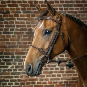 Dy'on Leather Covered Rope Noseband Bridle with Reins