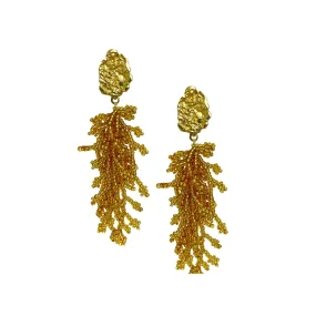 Gold Coral Earrings