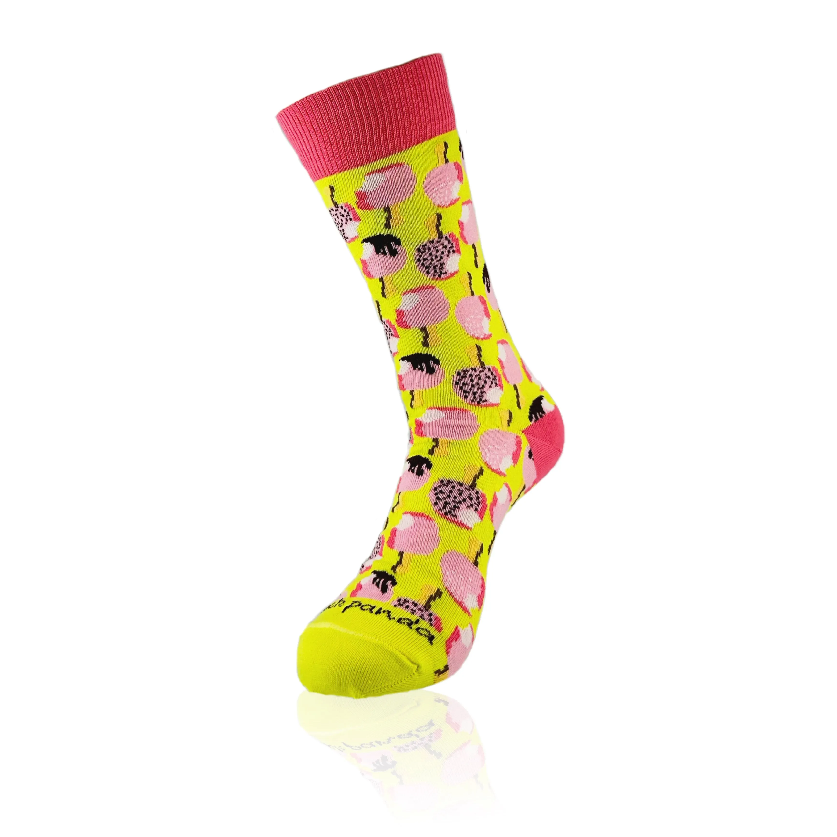 Ice Cream Popsicle Socks from the Sock Panda (Adult Medium - Women's Shoe Sizes 5-10)