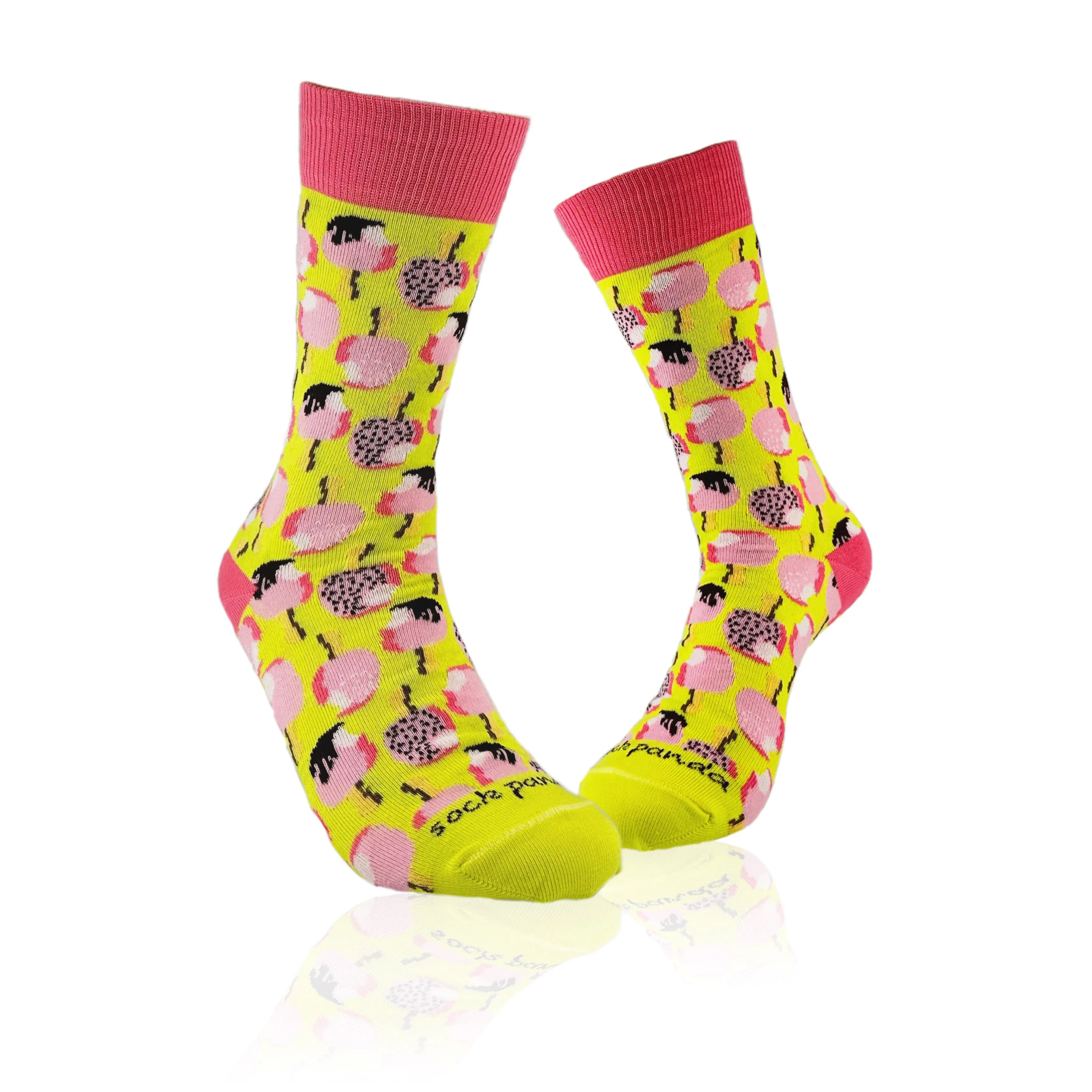 Ice Cream Popsicle Socks from the Sock Panda (Adult Medium - Women's Shoe Sizes 5-10)