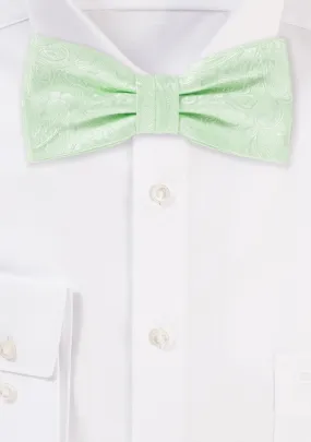 Seafoam Green Proper Paisley Bowtie